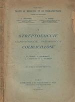 Streptococcie, staphylococcie, pneumococcie, colibacillose