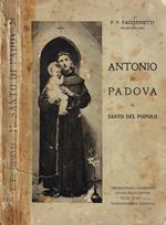 Antonio di Padova. Il santo del popolo