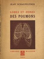 Lobes et zones des poumons