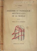 Anatomie et pathologie artérielles de la moelle