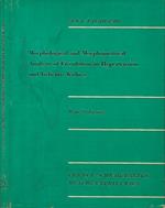 Morphological and Morphometrical Analysis of Circulation in Hypertension and Ischemic Kidney