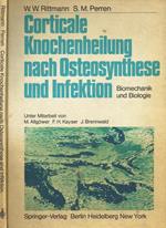 Corticale knochenheilung nach osteosynthese und infektion. Biomechanik und biologie