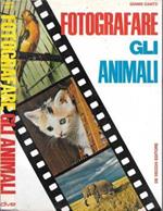 Fotografare gli animali