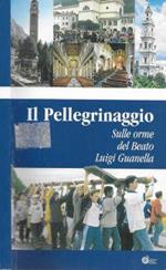 Il pellegrinaggio. sulle orme del Beato Luigi Guanella