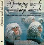 Il fantastico mondo degli animali