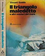 Il triangolo maledetto. E altri misteri del mare