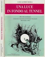 Una luce in fondo al tunnel. Raccolta antologica di poesia e narrativa del Premio Nazionale Histonium 1992