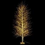 Albero Natalizio Luminoso con 2000 Luci Led Bianco Caldo per Interni ed Esterni Altezza 2,4 Metri 351 Rami