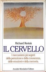 Il cervello