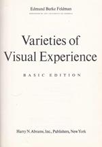 Varieties of Visual Experiences - basic edition