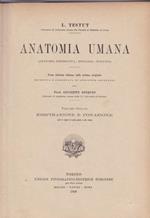 Anatomia umana. VIII. Respirazione e fonazione