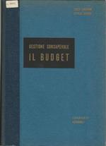 Gestione Consapevole. Il Budget