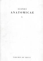Icones Anatomicae 1