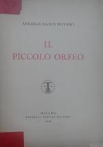 piccolo Orfeo