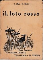 loto rosso