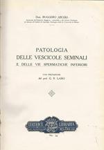 Patologia delle vescicole seminali e delle vie spermatiche inferiori