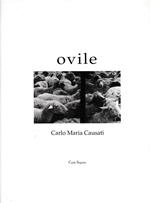 Ovile