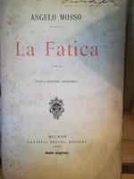 La Fatica