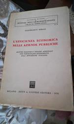 L' efficienza economica nelle aziende pubbliche