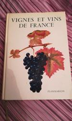 vignes et vins de france