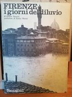 Firenze. I giorni del diluvio. Prefazione di Enrico Mattei