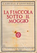 La fiaccola sotto il moggio