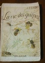 La Vie Des Guepes