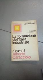 La formazione dell'italia industyriale