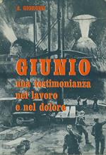 Giunio. Una testimonianza nel lavoro e nel dolore