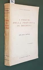 I Comuni Della Provincia Di Bologna Nella Storia E Nell'Arte