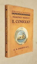 Il coniglio