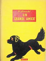 Un Grande Amico (Il Cane Di Allegretto E Serenella)