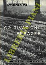 Coltivazioni erbacee