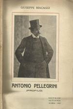 Antonino Pellegrini