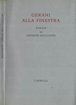 Gerani alla finestra