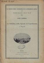 La latitudine della Specola di Capodimonte a Napoli