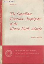 The Caprellidae (Crustacea: Amphipoda) of the Western North Atlantic