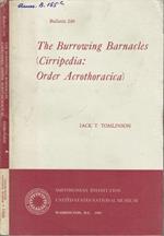 The Burrowing Barnacles (Cirripedia: Order Acrothoracica)