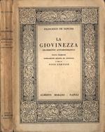 La giovinezza