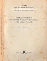 Problemi giuridici dei consorzi di sviluppo industriale nel Mezzogiorno