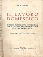 Il lavoro domestico