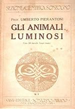 Gli animali luminosi