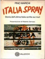 Italia spray. Storia dell'ultima Italia scritta sui muri