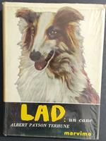 La LAD: Un Cane