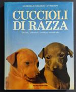 Cuccioli di Razza