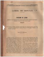 Camera dei deputati - n.19