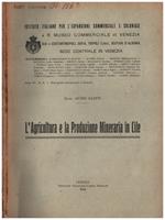 L' agricoltura e la produzione mineraria in Cile