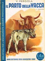 Il parto della vacca e degli altri animali agricoli