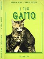 Il tuo gatto