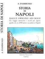 Storia di Napoli. Dalle origini ad oggi